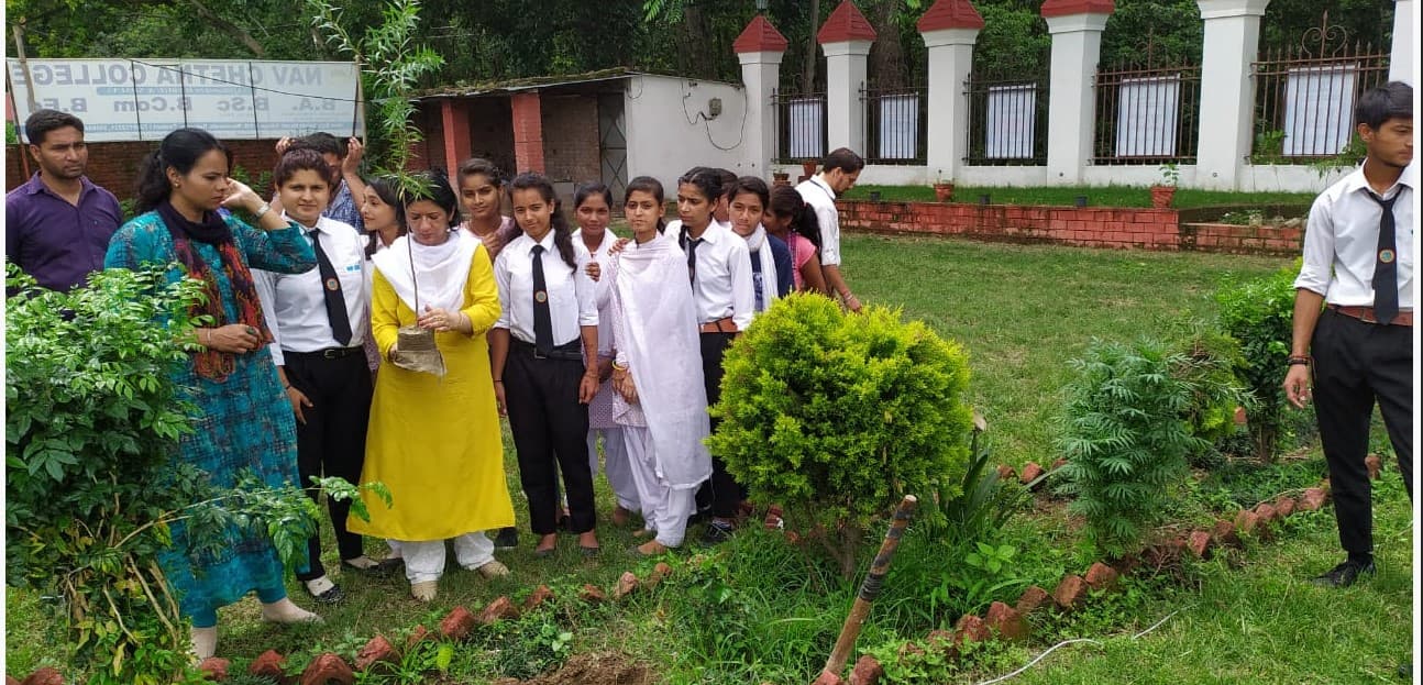 Nav Chetna College Dehradun Harela festival photo 2